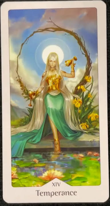 Heavenly Bloom Tarot Deck